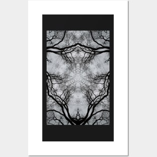 Impossible landscapes: winter tree against a grey sky Posters and Art